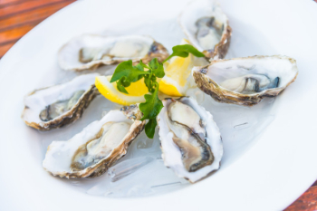 Oysters Oysters
