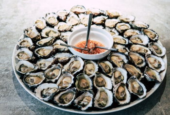Oysters on Plate Oysters on Plate