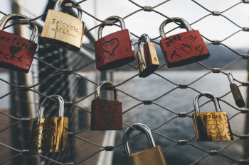 Padlocks Locked On Chain Link Fence