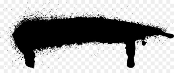 Paint Black and white - spray paint Paint Black and white - spray paint