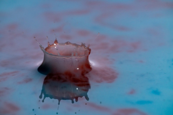 Paint Droplets Paint Droplets