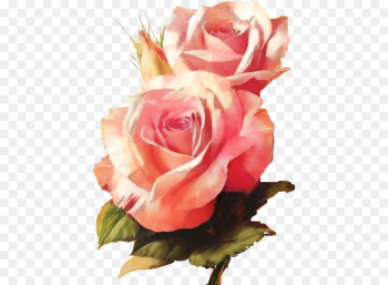Painting, Art, Watercolor Painting, Flower, Rose PNG Painting, Art, Watercolor Painting, Flower, Rose PNG