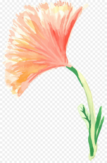 Painting Flowers Creative Watercolor Watercolor painting - Watercolor painted floral decoration 