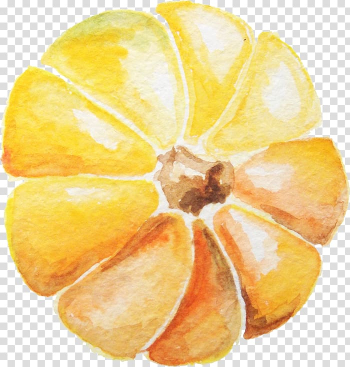 Painting of yellow pumpkin, Watercolor: Flowers Watercolor painting Pumpkin, Watercolor pumpkin transparent background PNG clipart