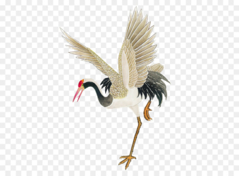 Painting red-crowned crane Painting red-crowned crane