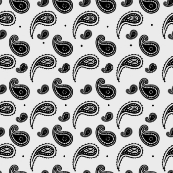 Paisley pattern design Paisley pattern design
