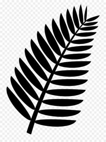Palm branch Arecaceae Frond Clip art - Leaf Palm branch Arecaceae Frond Clip art - Leaf