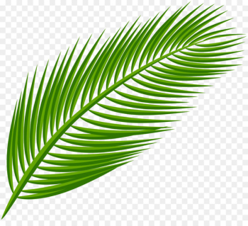 Palm branch Arecaceae Palm-leaf manuscript Clip art - banana leaves 