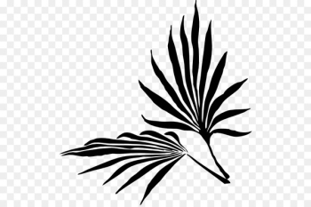 Palm branch Leaf Palm trees Frond - Palm branch Leaf Palm trees Frond -