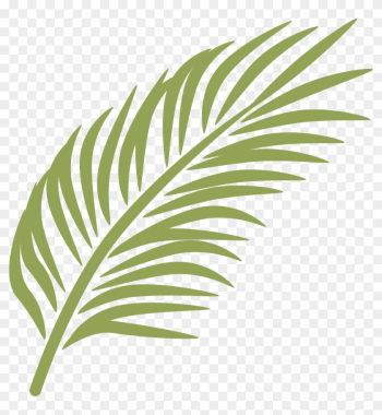 Palm Branch Palm Sunday Arecaceae Clip Art - Palm Leaves Clip Art
