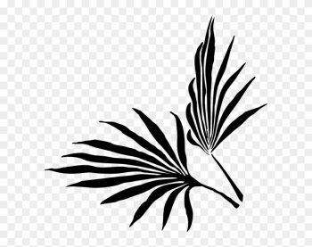 Palm Leaf Free Clipart - Palm Frond Clip Art Palm Leaf Free Clipart - Palm Frond Clip Art
