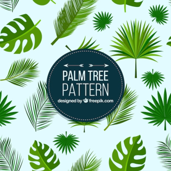 Palm leaf patterns Palm leaf patterns
