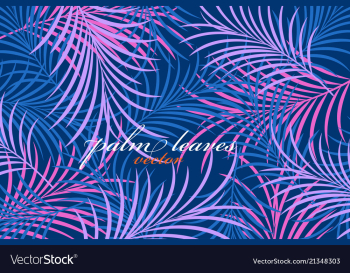 Palm leaves colors vector image