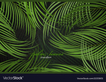 Palm leaves scene vector image