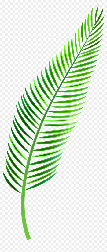 Palm Sunday Clipart - Palm Leaf Watercolor Png
