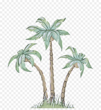 Palm tree Palm tree
