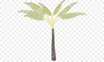 Palm tree Palm tree