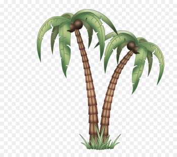 Palm tree Palm tree