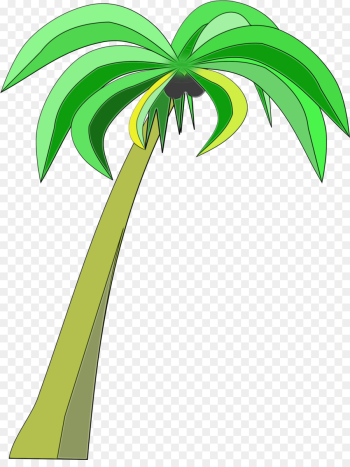 Palm tree Palm tree
