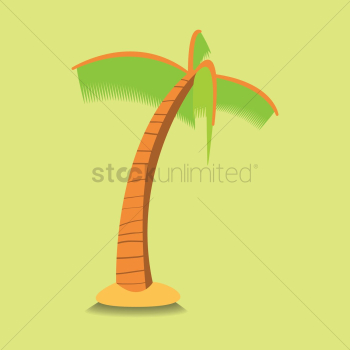 Palm tree Palm tree
