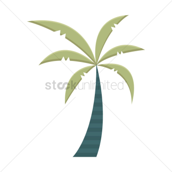 Palm tree Palm tree
