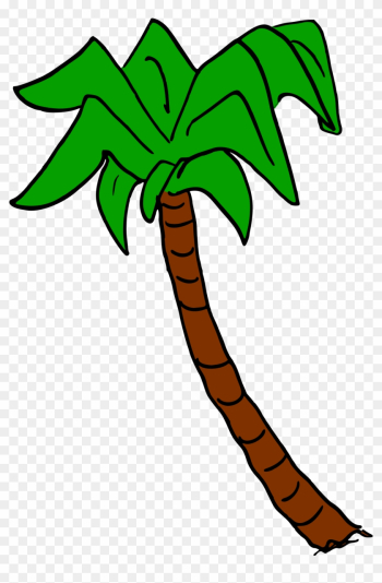 Palm Tree 6 - Palm Trees Palm Tree 6 - Palm Trees