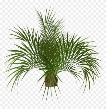 Palm Tree Clip Art - Flower Tree Png Hd