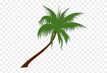Palm Tree Clip Art Free Bbw Watermark Free - Coconut Trees Clip Art Palm Tree Clip Art Free Bbw Watermark Free - Coconut Trees Clip Art