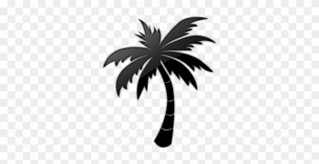 Palm Tree Clipart Icon - Valley Isle Soccer Academy