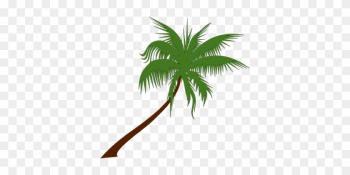 Palm Tree Coconut Palm Tree Tropical Palm - Coconut Tree Clipart Free