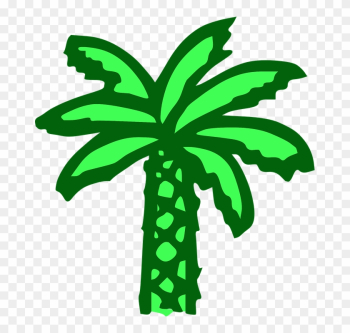 Palm Tree, Green, Beach, Banana Tree - Cartoon Palm Tree