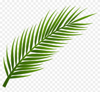 Palm Tree Leaf Png Clip Art - Palm Tree Leaf Png Clip Art