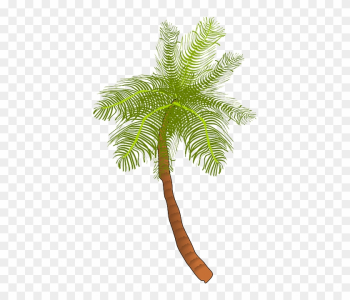 Palm, Tree, Ocean, Summer, Vacation, Beach, Palm Leaf - Coconut Tree Clip Art