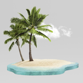 Palm tree on island, beach | Free Photo - rawpixel