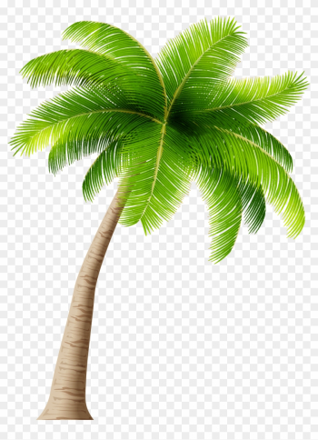 Palm Tree Png Clipart Image - Palm Tree Transparent Background