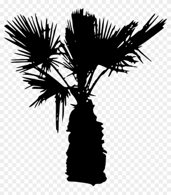 Palm Tree Silhouette - Palm Tree Silhouette Png