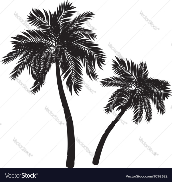 Palm Tree Silhouette vector image Palm Tree Silhouette vector image