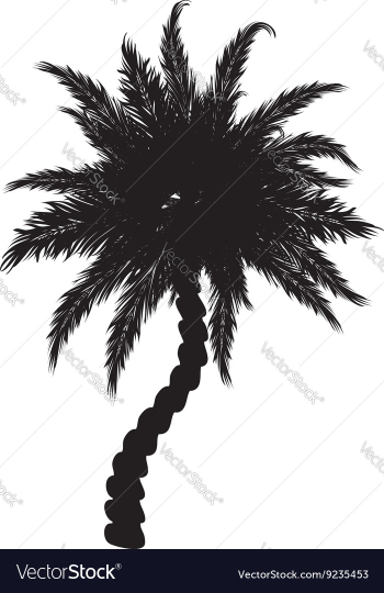 Palm Tree Silhouette2 vector image Palm Tree Silhouette2 vector image