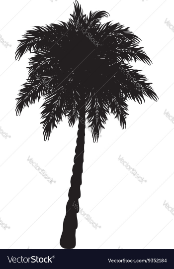 Palm Tree Silhouette3 vector image Palm Tree Silhouette3 vector image