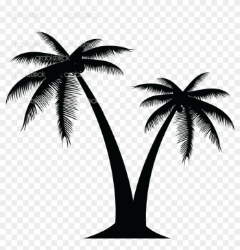Palm Tree - Transparent Background Palm Tree Png Palm Tree - Transparent Background Palm Tree Png