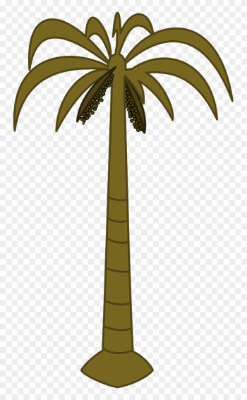 Palm Tree Tropical Tall Png Image - Palm Tree Clip Art