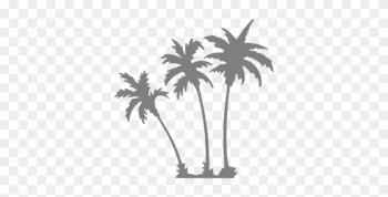 Palm Trees Background Overlay Palm Trees Background Overlay