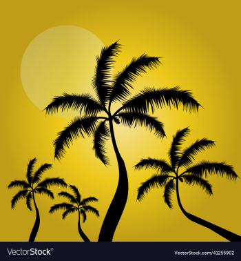 palm trees silhouette along the beach