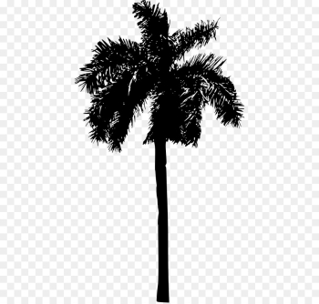 Palm Trees, Silhouette, Tree, Palm Tree PNG Palm Trees, Silhouette, Tree, Palm Tree PNG