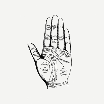 Palmistry chart hand drawing, vintage | Free PSD - rawpixel Palmistry chart hand drawing, vintage | Free PSD - rawpixel