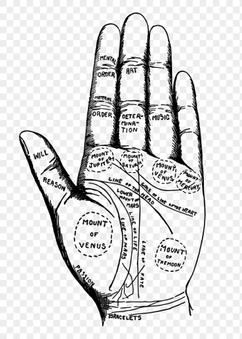 Palmistry chart hand png sticker | Free PNG - rawpixel Palmistry chart hand png sticker | Free PNG - rawpixel