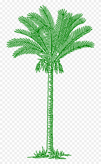 Palmtree Leaves Beach Tropical Png Image - Lines Drawing Palm Tree Palmtree Leaves Beach Tropical Png Image - Lines Drawing Palm Tree