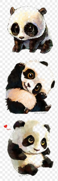 Panda collage PNG Panda collage PNG