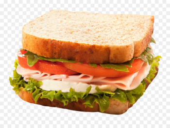 Panini Ham and cheese sandwich Italian dressing Chicken sandwich Club sandwich - Sandwich 