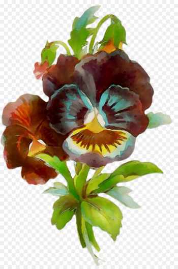 Pansy Cut flowers - Pansy Cut flowers -